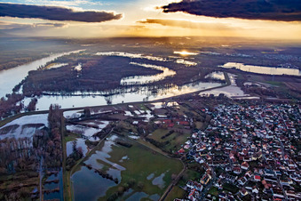 Wegen Hochwasser überflutetes Naturschutzgebiet Goldgrund in der Hagenbacher Altrheinschleife im Ortsteil Maximiliansau in Wörth am Rhein im Bundesland Rheinland-Pfalz, Deutschland