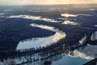 Luftbild von Wegen Hochwasser überflutetes Naturschutzgebiet Goldgrund in der Hagenbacher Altrheinschleife im Ortsteil Maximiliansau in Wörth am Rhein im Bundesland Rheinland-Pfalz, Deutschland