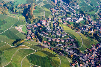 Büchelbach von Süden in Sasbachwalden im Bundesland Baden-Württemberg, Deutschland