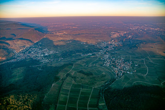 Kastanienbusch Im Winter am Abend von Südwesten in Birkweiler im Bundesland Rheinland-Pfalz, Deutschland