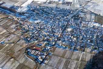 Im Winter bei Schnee in Oberotterbach im Bundesland Rheinland-Pfalz, Deutschland