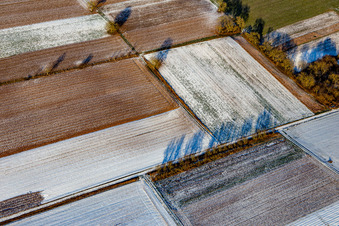 Feldstrukturen und Schatten im Winter bei Schnee in Schweighofen im Bundesland Rheinland-Pfalz, Deutschland