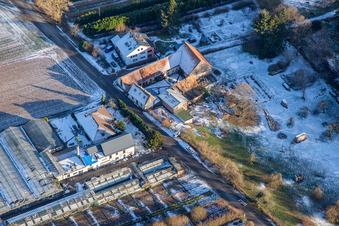 Schmeißer Schnittgrün in Vollmersweiler im Bundesland Rheinland-Pfalz, Deutschland