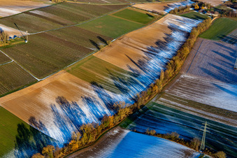 Feldstrukturen und Schatten im Winter bei Schnee am Dierbachtal in Minfeld im Bundesland Rheinland-Pfalz, Deutschland