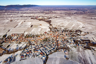 Luftbild von Göcklingen von Süden bei Winter im Schnee im Bundesland Rheinland-Pfalz, Deutschland