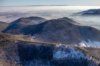 Luftaufnahme von Burgruine Neuscharfeneck aus Norden im Winter bei Schnee in Flemlingen im Bundesland Rheinland-Pfalz, Deutschland