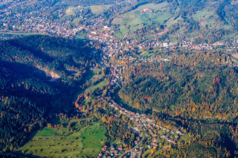 Ort im Tal im Ortsteil Lichtental in Baden-Baden im Bundesland Baden-Württemberg, Deutschland