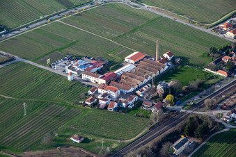Richard Gerlinger Gmbh in Kirrweiler im Bundesland Rheinland-Pfalz, Deutschland