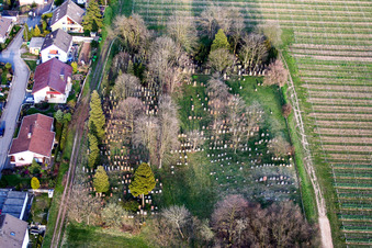 Grabreihen auf dem Gelände des alten Friedhofes im Ortsteil Ingenheim in Billigheim-Ingenheim im Bundesland Rheinland-Pfalz, Deutschland