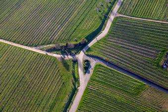 Historische Weinkelter am Bildhäusel im Ortsteil SaintMartin in Sankt Martin im Bundesland Rheinland-Pfalz, Deutschland