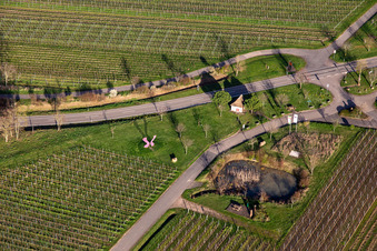 Bildhäusel im Frühjahr im Ortsteil SaintMartin in Sankt Martin im Bundesland Rheinland-Pfalz, Deutschland