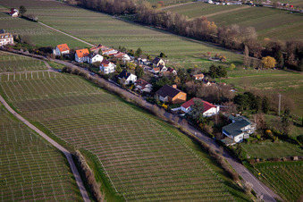 Siedlung an der Klosterstr in Edenkoben im Bundesland Rheinland-Pfalz, Deutschland