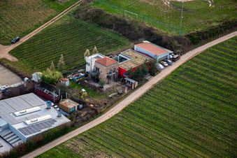 Am Schlossberg in Burrweiler im Bundesland Rheinland-Pfalz, Deutschland