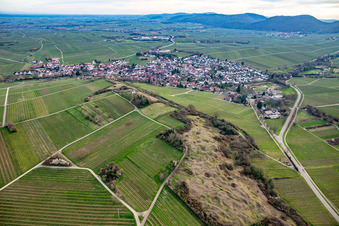 Naturschutzgebiet Kleine Kalmit im Frühling im Ortsteil Arzheim in Landau in der Pfalz im Bundesland Rheinland-Pfalz, Deutschland