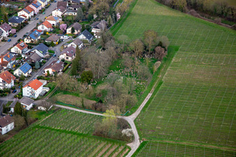 Jüdischer Friedhof Ingenheim in Billigheim-Ingenheim im Bundesland Rheinland-Pfalz, Deutschland