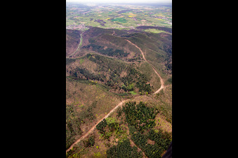 Neuerrichtung des Teilstücks der Trans-Europa-Naturgas-Pipeline (TENP-I zwischen den Niederlanden und der Schweiz) auf 51 km Länge zwischen Mittelbrunn und Klingenmünster im Bundesland Rheinland-Pfalz, Deutschland