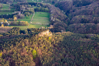 Haselstein in Oberschlettenbach im Bundesland Rheinland-Pfalz, Deutschland