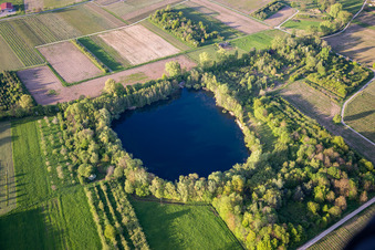 Biotopweiher alte Tongrube in Göcklingen im Bundesland Rheinland-Pfalz, Deutschland