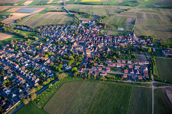 Impflingen von Norden im Bundesland Rheinland-Pfalz, Deutschland