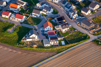 Narzissenweg in Kandel im Bundesland Rheinland-Pfalz, Deutschland