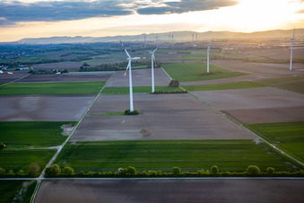 Luftaufnahme von Windpark Minfeld im Bundesland Rheinland-Pfalz, Deutschland
