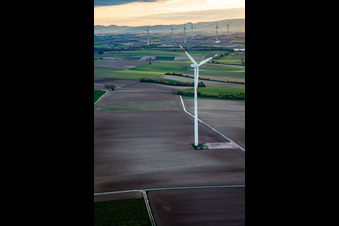 Schrägluftbild von Windpark Minfeld im Bundesland Rheinland-Pfalz, Deutschland