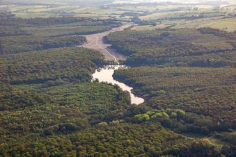Gemein Weiher im Wald in Fénétrange im Bundesland Moselle, Frankreich
