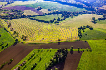 Luftbild von Frisch gemähte Wiesen mit Heureihen in Petit-Réderching im Bundesland Moselle, Frankreich