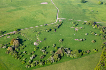 Schafe weiden zwischen alten Bunker Ruinen in Achen im Bundesland Moselle, Frankreich