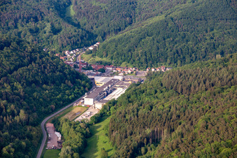 CHRIPA Paletten GmbH im Ortsteil Sarnstall in Annweiler am Trifels im Bundesland Rheinland-Pfalz, Deutschland