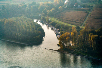 Mündung der Lauter in den Rhein in Neuburg am Rhein im Bundesland Rheinland-Pfalz, Deutschland