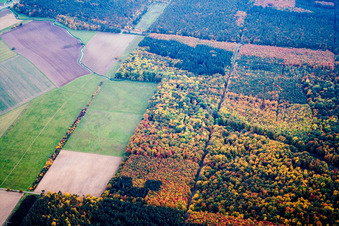 Lochwassergraben im Ortsteil Weiher in Ubstadt-Weiher im Bundesland Baden-Württemberg, Deutschland