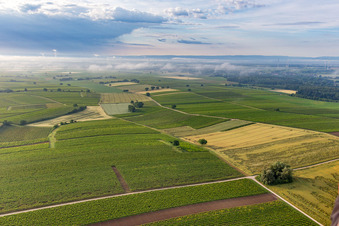 Tiefe Wolken über den Feldern vor Winden im Ortsteil Ingenheim in Billigheim-Ingenheim im Bundesland Rheinland-Pfalz, Deutschland