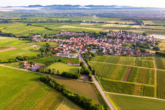 Impflingen von Südosten im Bundesland Rheinland-Pfalz, Deutschland