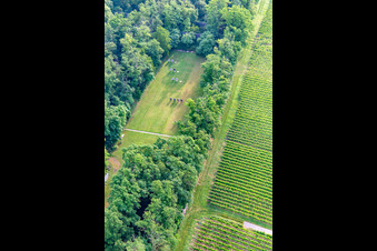 Vereinsgelände der Palatina Bogenschützen in Insheim im Bundesland Rheinland-Pfalz, Deutschland