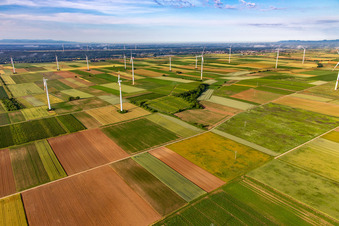 Windpark Offenbach in Bellheim im Bundesland Rheinland-Pfalz, Deutschland