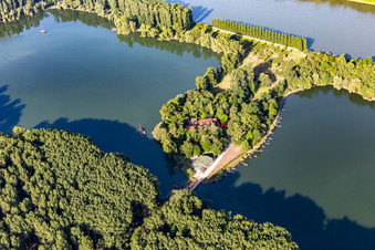 Pappelallee und Restaurant auf Insel Rott am Rhein in Linkenheim-Hochstetten im Bundesland Baden-Württemberg, Deutschland