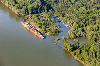 Sportboothafen am Leimersheimer Altrhein im Bundesland Rheinland-Pfalz, Deutschland