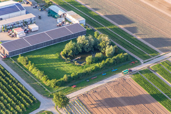 Bauers Garten mit Naturteich in Winden im Bundesland Rheinland-Pfalz, Deutschland