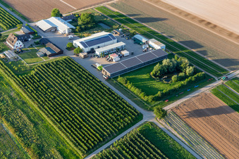 Luftbild von Bauers Garten mit Naturteich in Winden im Bundesland Rheinland-Pfalz, Deutschland