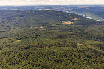 Weiler bei Bingen im Bundesland Rheinland-Pfalz, Deutschland