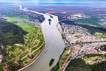 Mittelrhein mit Binger Mäuseturm zwischen Rüdesheim und Bingen in Bingen am Rhein im Bundesland Rheinland-Pfalz, Deutschland