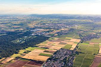 Im Hintergrund Golfanlage Landgut Dreihof - GOLF absolute im Ortsteil Niederhochstadt in Hochstadt im Bundesland Rheinland-Pfalz, Deutschland