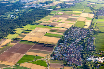 Luftbild von Im Hintergrund Golfanlage Landgut Dreihof - GOLF absolute im Ortsteil Niederhochstadt in Hochstadt im Bundesland Rheinland-Pfalz, Deutschland
