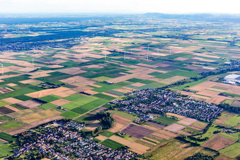 Windpark Offenbach in Ottersheim bei Landau im Bundesland Rheinland-Pfalz, Deutschland