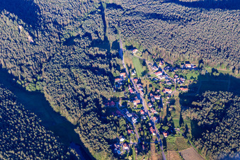 Lauterschwan von Nordwesten in Erlenbach bei Dahn im Bundesland Rheinland-Pfalz, Deutschland