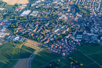 Neubaugebiet Im Wngert im Ortsteil Pleisweiler in Bad Bergzabern im Bundesland Rheinland-Pfalz, Deutschland