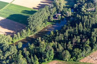 Fischteiche am Quodbach in Insheim im Bundesland Rheinland-Pfalz, Deutschland