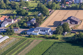 Villa am Böhlweg in Offenbach an der Queich im Bundesland Rheinland-Pfalz, Deutschland