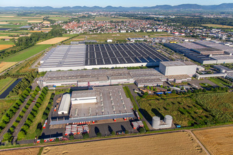 Luftbild von Tricor Packaging & Logistics AG in Offenbach an der Queich im Bundesland Rheinland-Pfalz, Deutschland